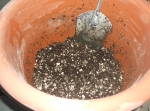 half pumice and half soil
