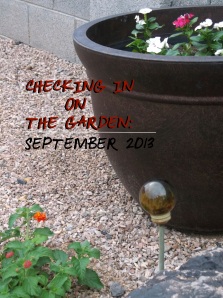 Checking In On The Garden September 2013