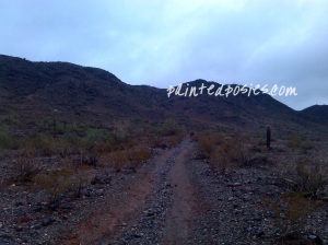 South Mountain Ranger Trail Arizona