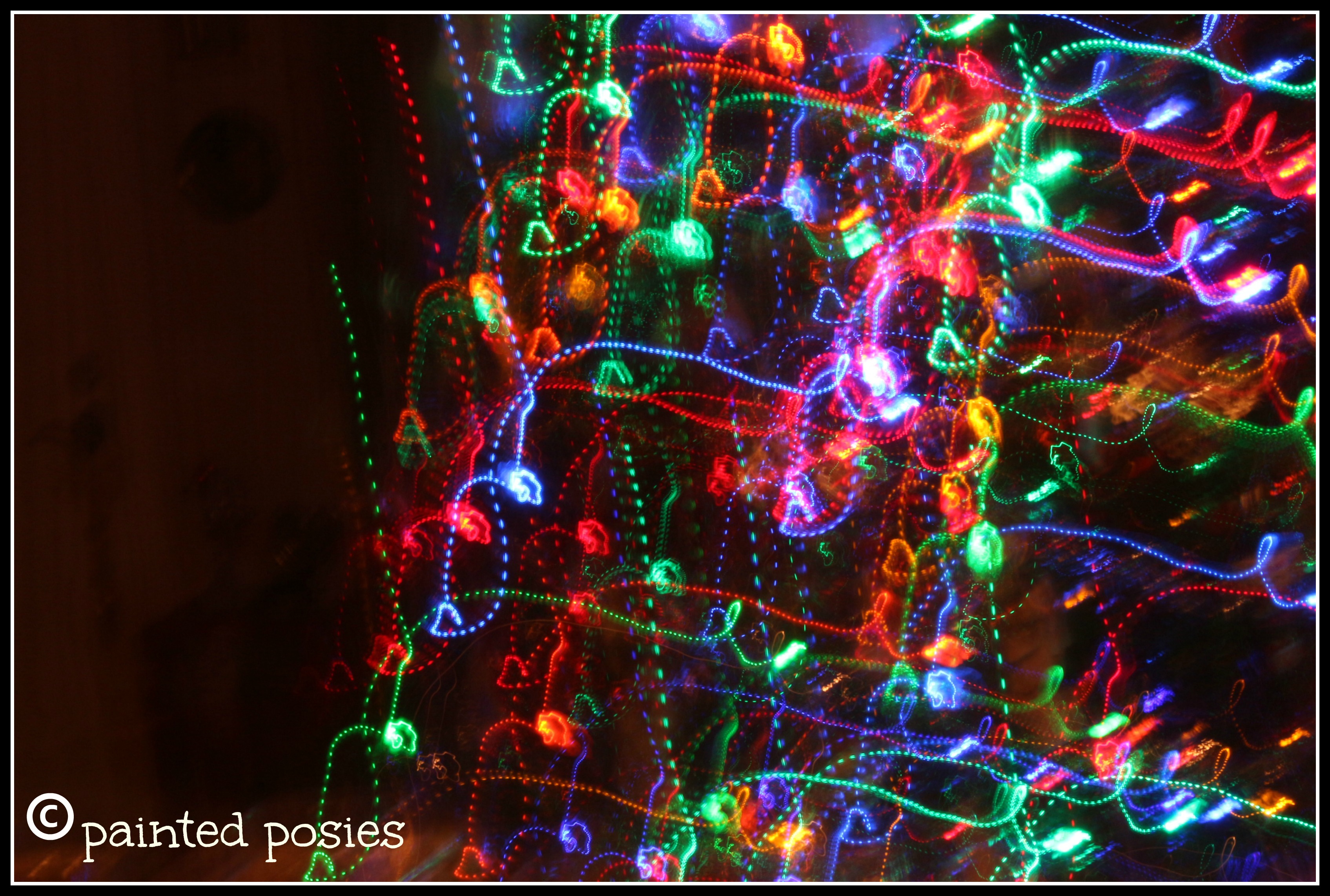Christmas Lights 2013