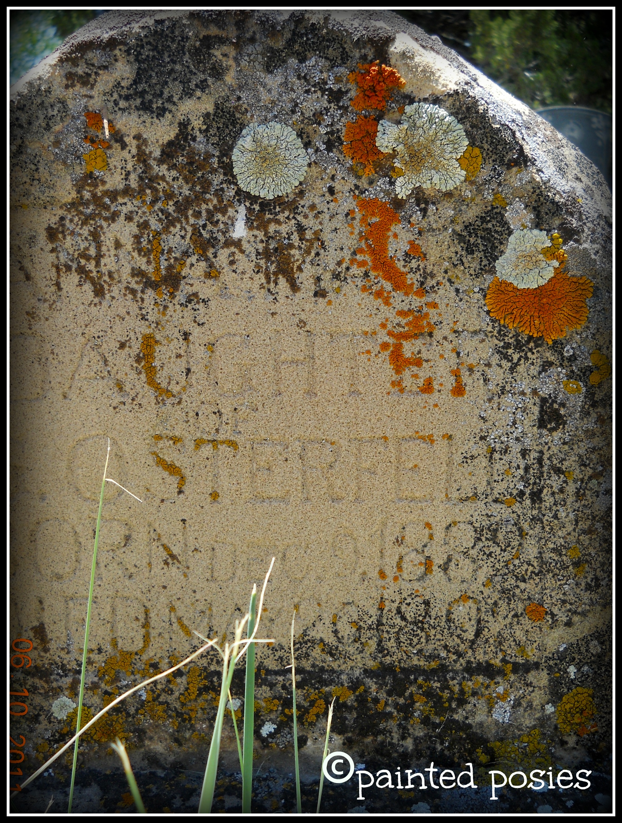 Colorado Headstone 2011