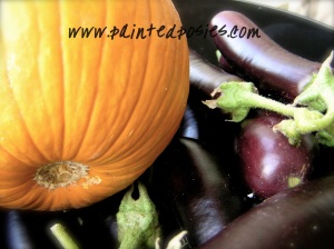 Pumpkin & Eggplant Harvest